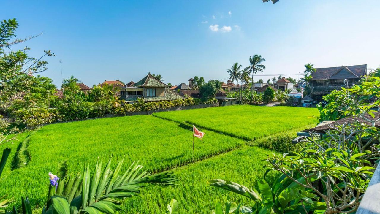 Gayatri Retreat Ubud المظهر الخارجي الصورة